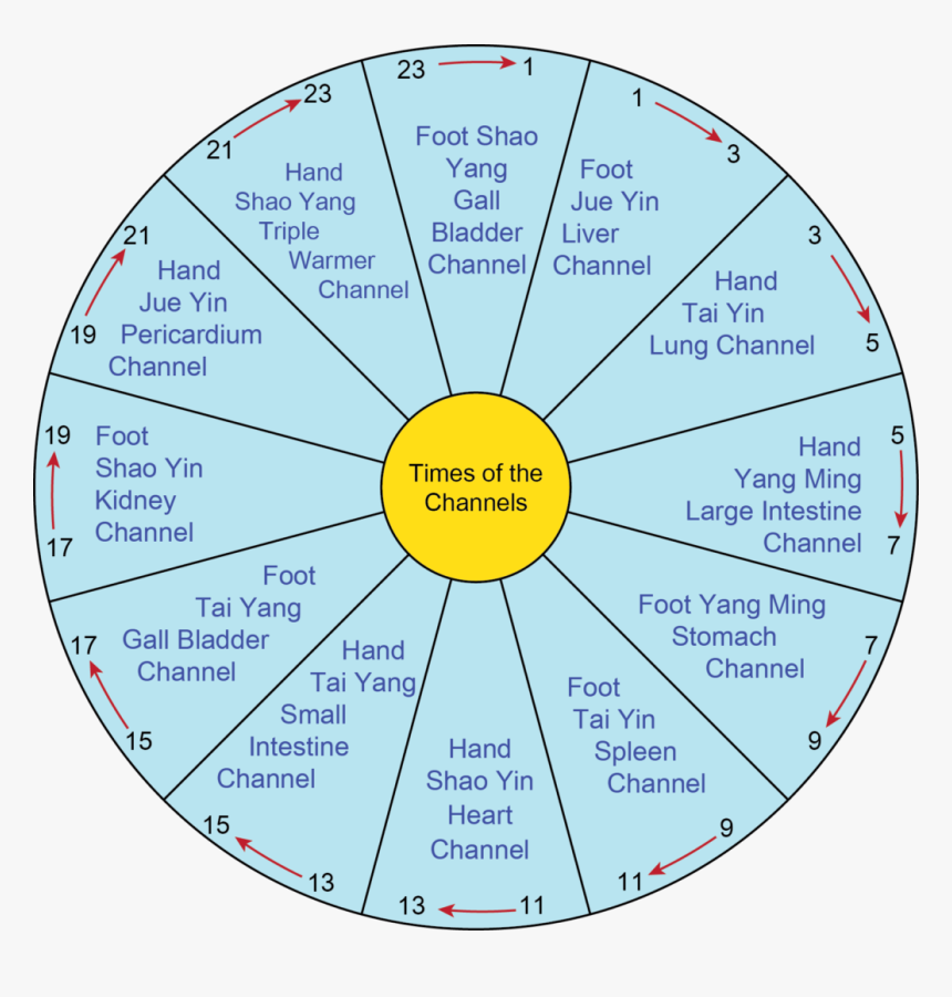 Circle, HD Png Download