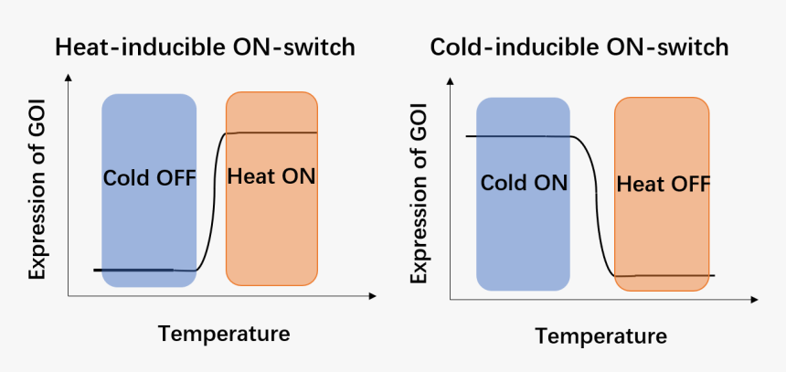 Diagram, HD Png Download
