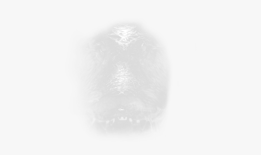 Sketch, HD Png Download