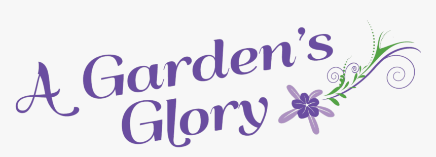 Calligraphy, HD Png Download