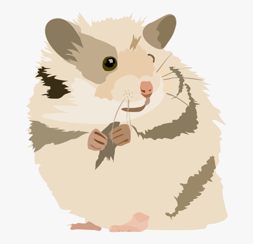 Snout,muridae,tail - Hamster Clipart Png, Transparent Png