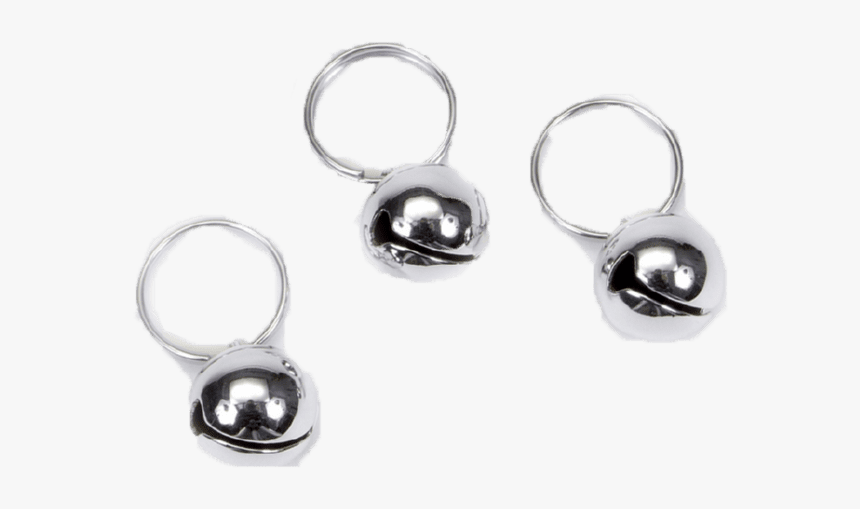 Coastal Pet, HD Png Download