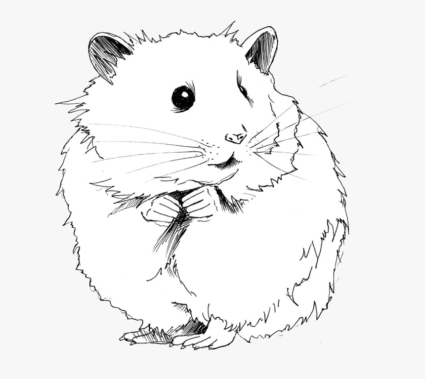 Jerbo Dibujo H Mster - Hamster Black And White Clipart, HD Png Download