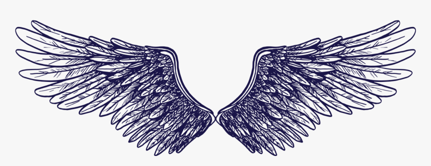 Team , Png Download - Imagem Asas Em Png, Transparent Png
