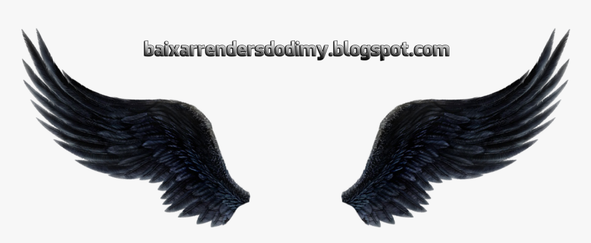 Render Asas De Anjo - Asas De Anjo Preta Png, Transparent Png