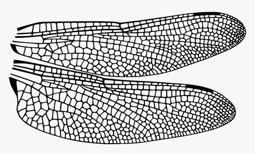 Graphene Grain Boundary Thermal Conductivity, HD Png Download