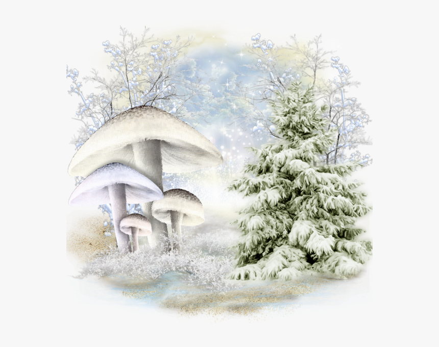 Arrière-plan Png Pour Créa D Hiver - Tree With Snow Transparent Background, Png Download