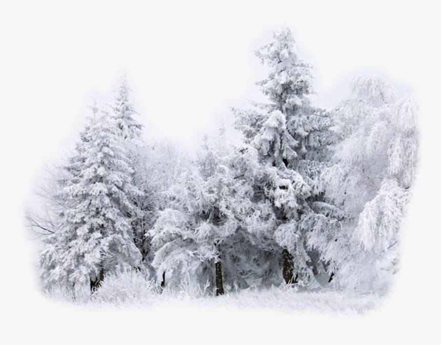 Desktop Wallpaper Snow Winter Drawing - Snow Deposition Phase Change, HD Png Download