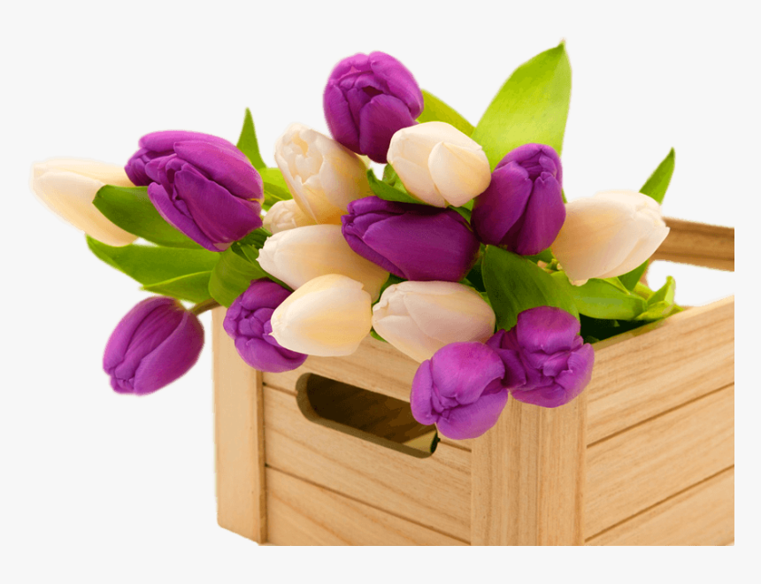 Blessed Monday Morning Blessings, HD Png Download