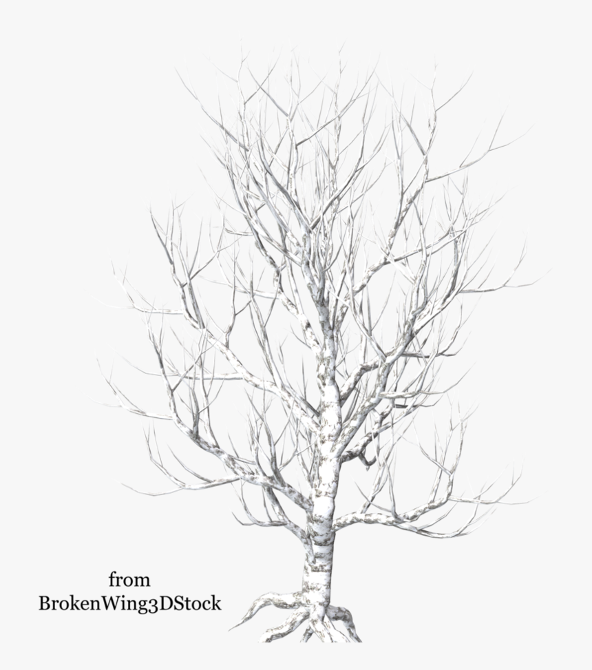 A Tree In Winter - Tree, HD Png Download