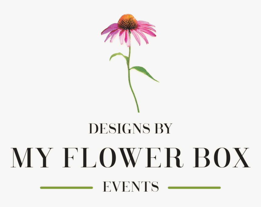 Designs By My Flower Box Events - My Flower, HD Png Download