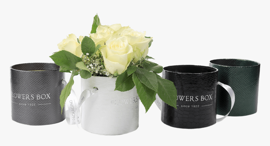 Tube Flower Box - Garden Roses, HD Png Download