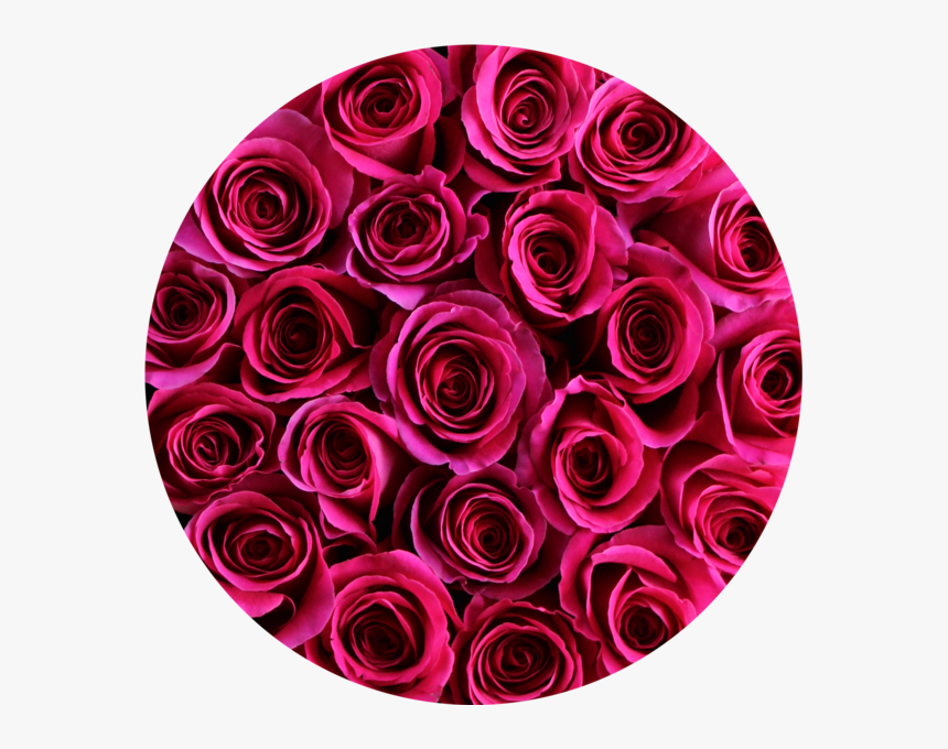 Hot Pink Roses In Round Flower Box Round - Round Flower, HD Png Download