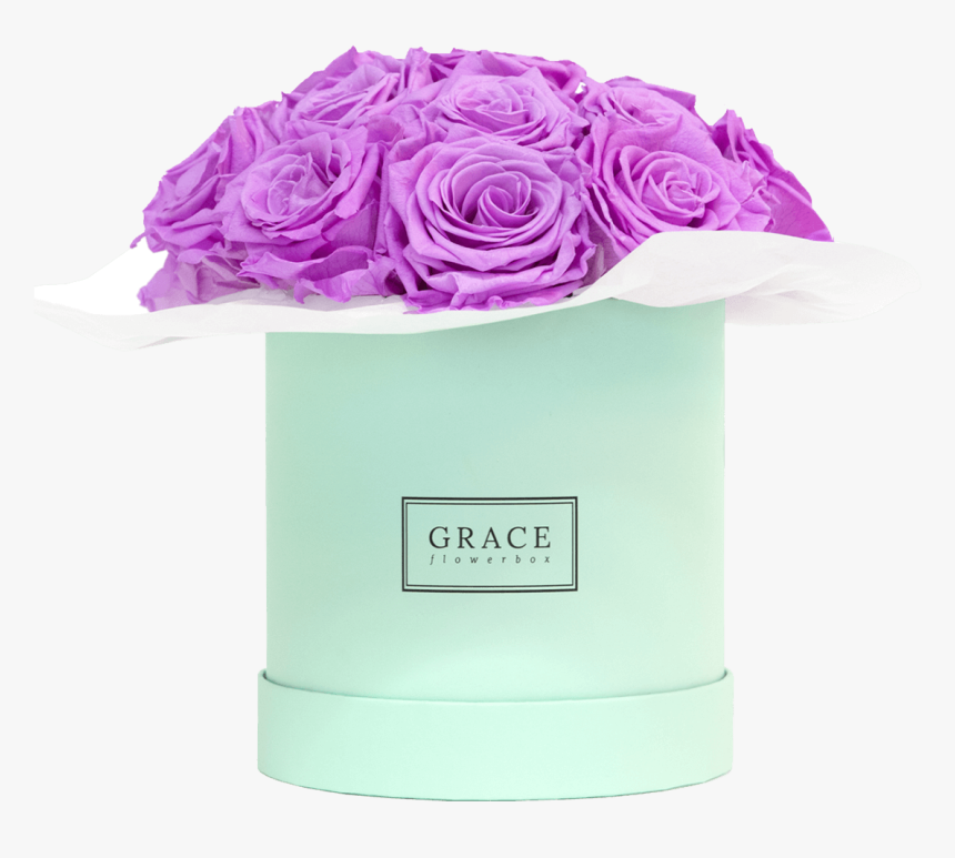 Garden Roses, HD Png Download