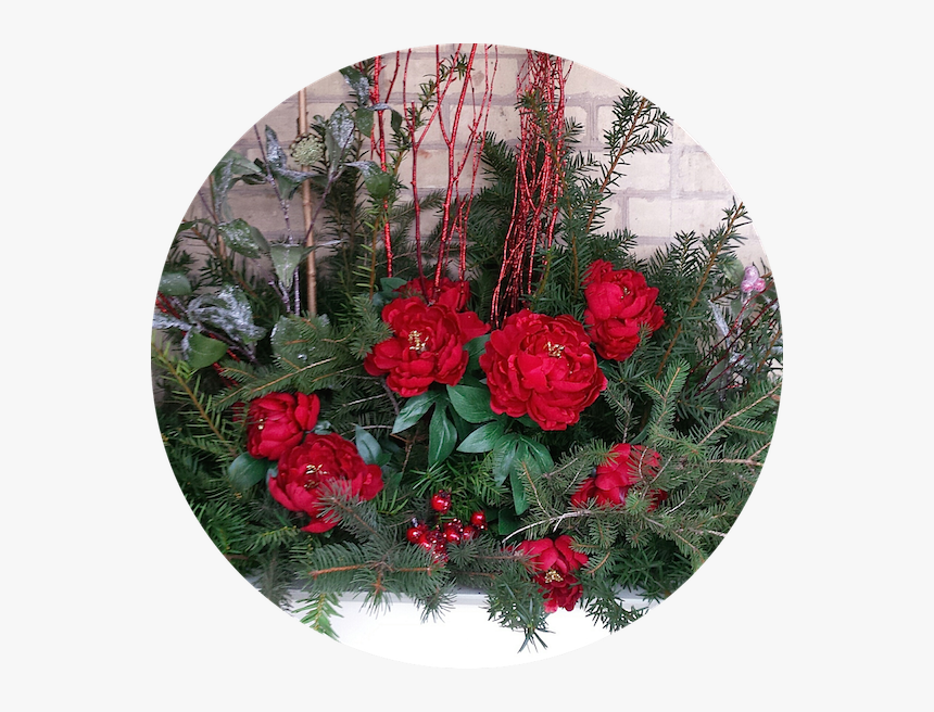 Garden Roses, HD Png Download