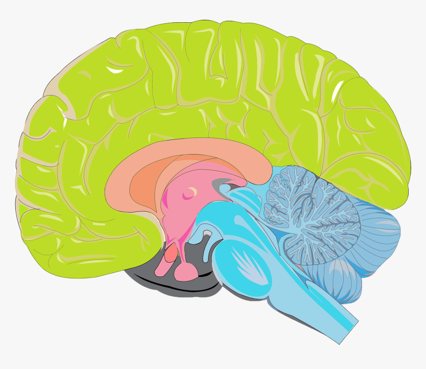 Illustration, HD Png Download