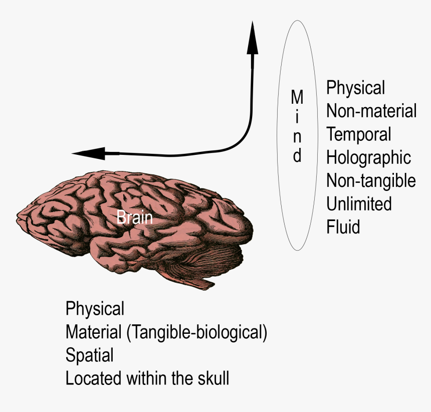 Diagram, HD Png Download