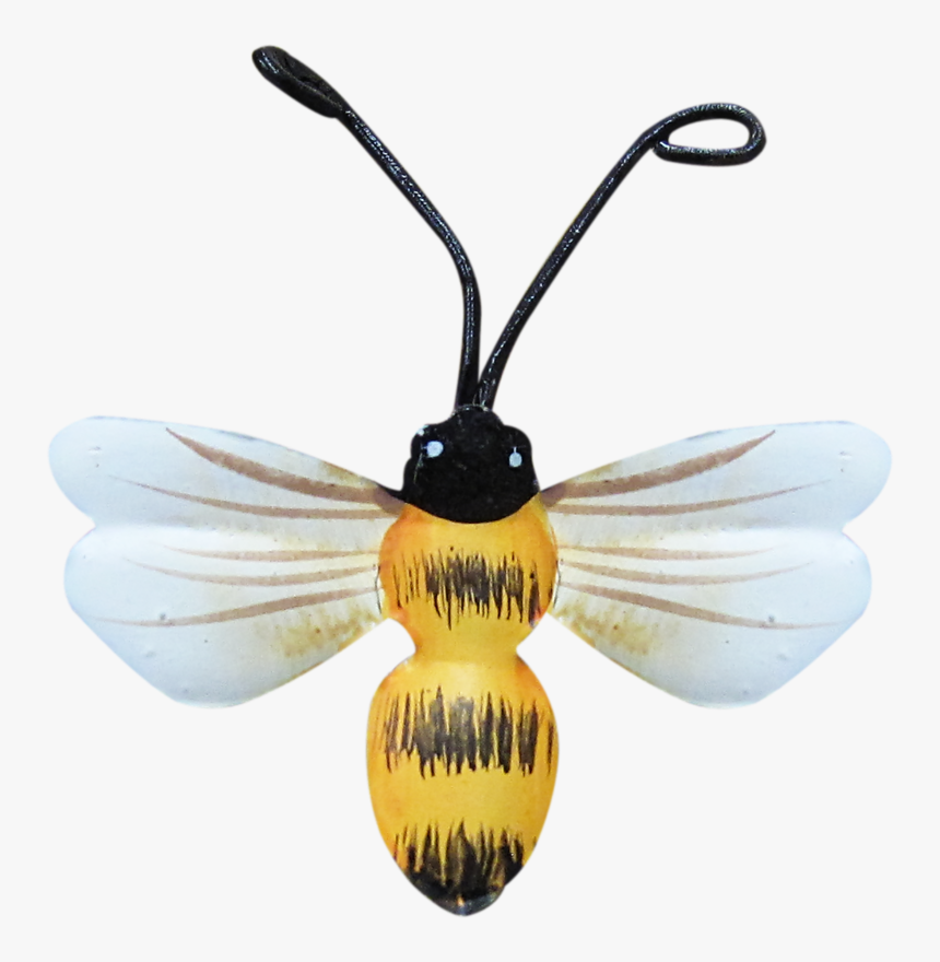 Bumble Bees, Honey Bees, Clip Art, Bees, Bee, Pictures - Honeybee, HD Png Download
