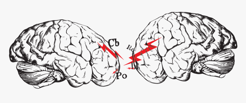 Sketch, HD Png Download