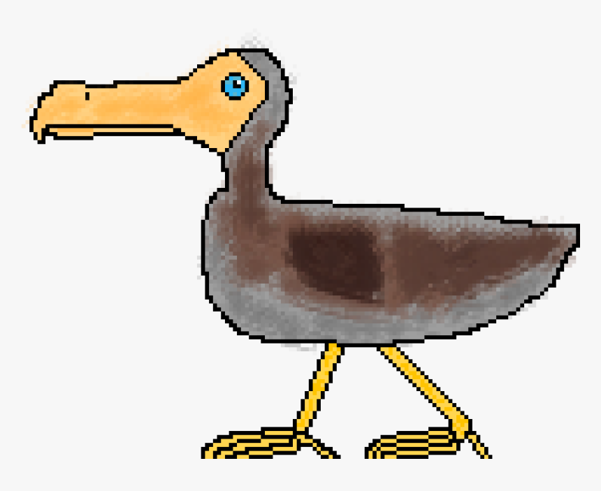 Seabird, HD Png Download