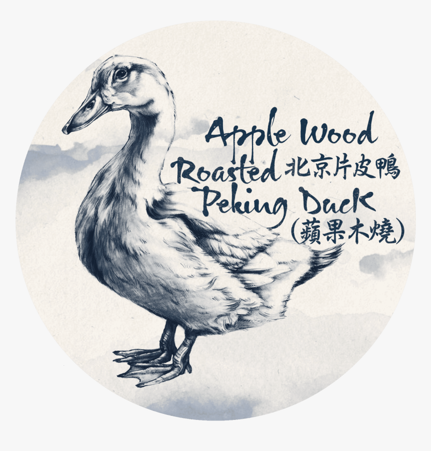 Dodo, HD Png Download