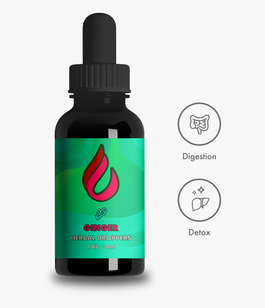 American Ginseng, HD Png Download