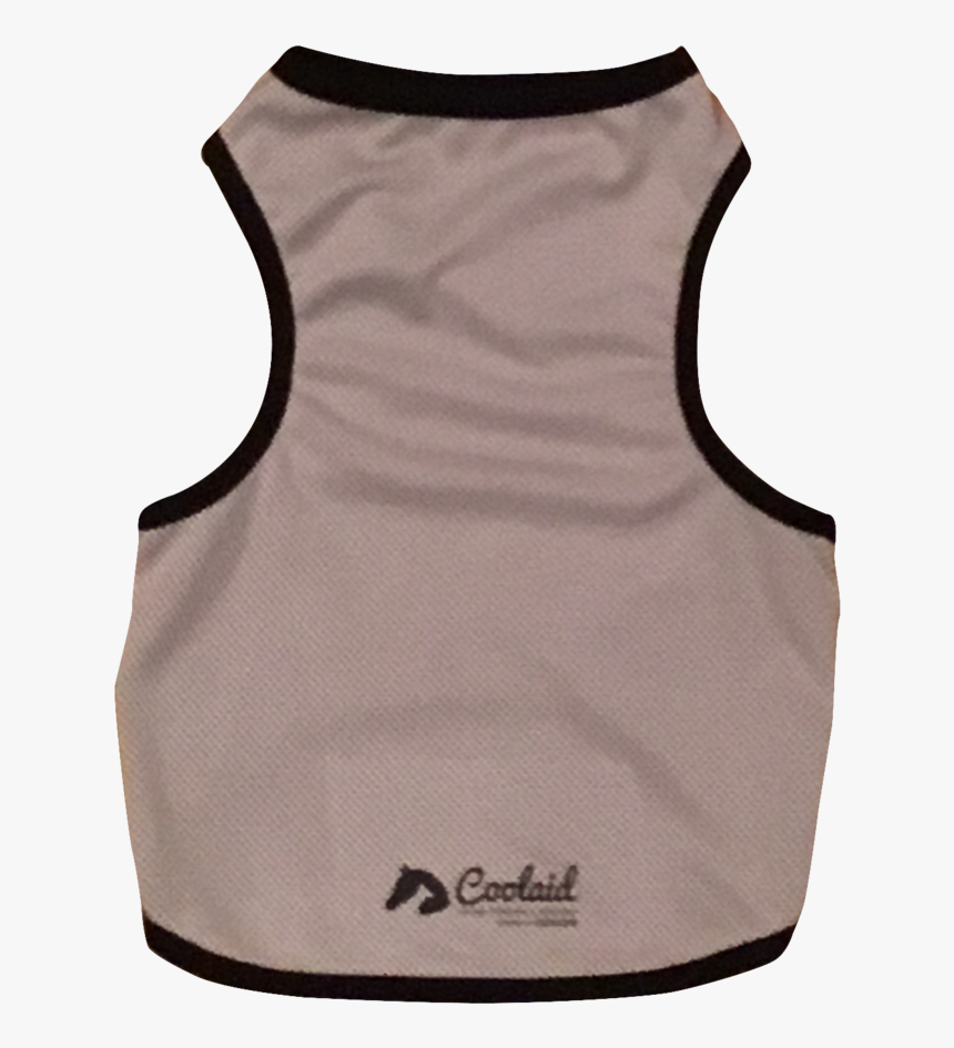 Dog, HD Png Download