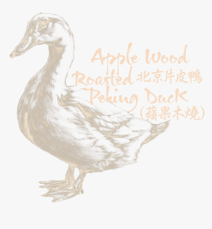 New Taipei, HD Png Download