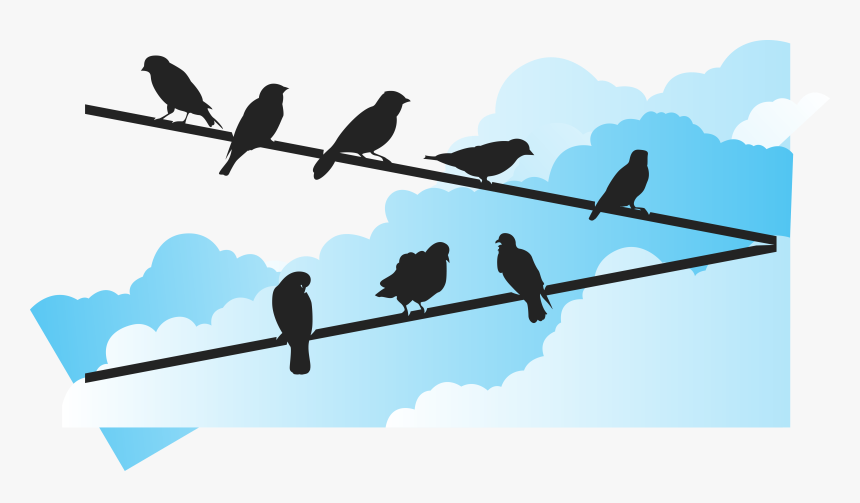 Bird Euclidean Vector Wire - Silhouette, HD Png Download