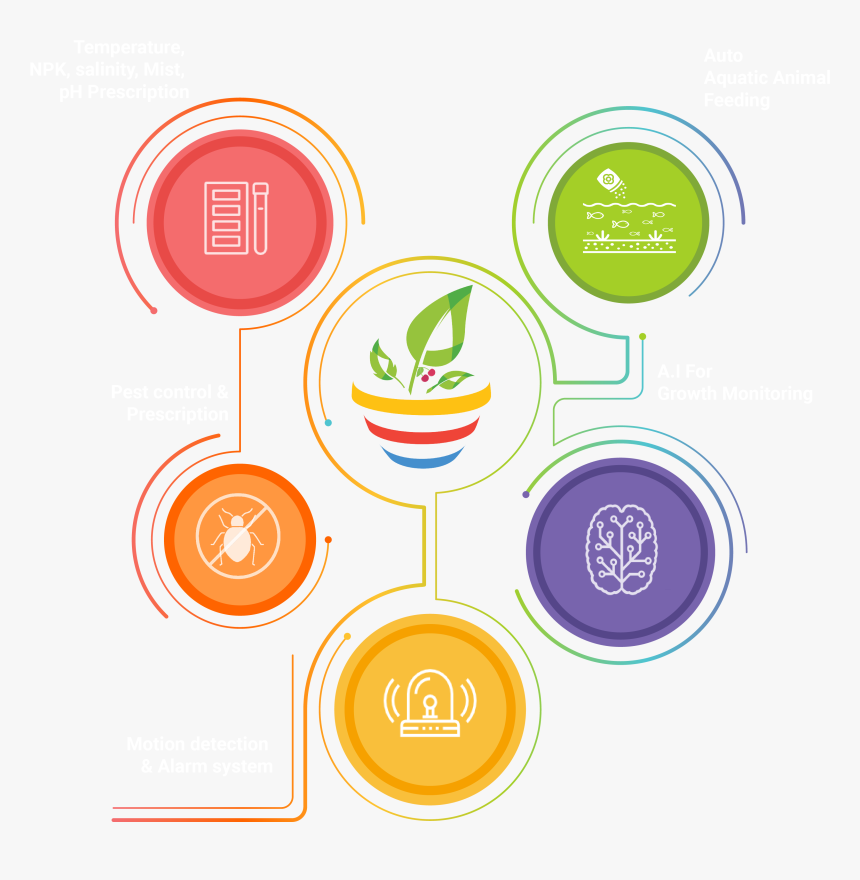 Circle, HD Png Download