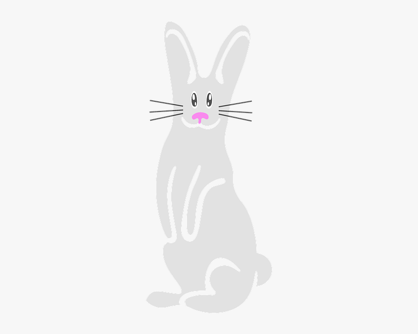 Bunny, Rabbit, White, Easter, Cute, Holiday, Spring - Domestic Rabbit, HD Png Download