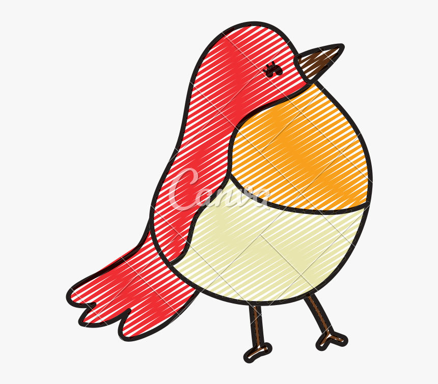 Doodle Beauty Tropical Bird Exotic Animal - Cartoon, HD Png Download