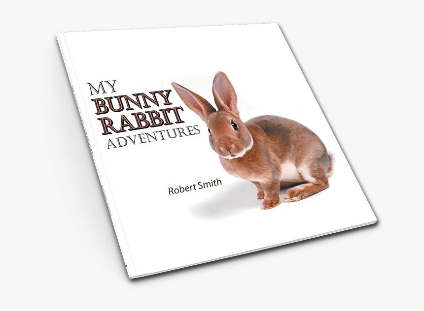 Domestic Rabbit, HD Png Download