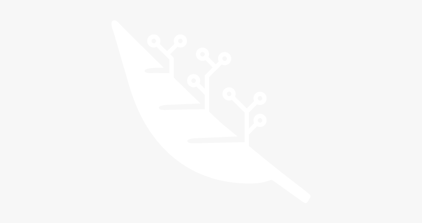 Graphic Design, HD Png Download