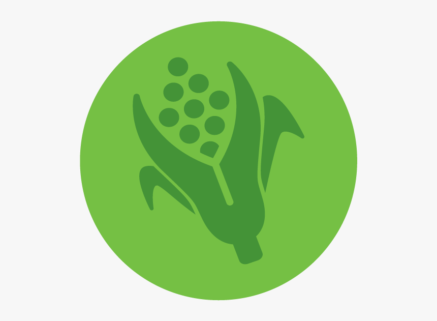 Agriculture Food And Natural Resources Transparent, HD Png Download