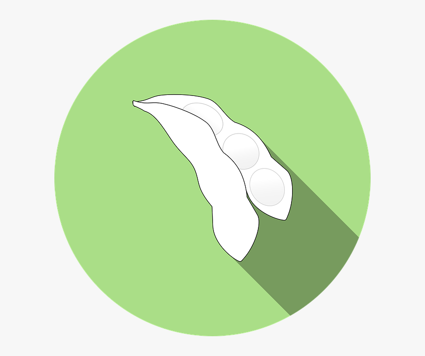Soy, Bean, Soybean, Icon, Soya, Allergens, Agriculture - Soybean Graphic, HD Png Download