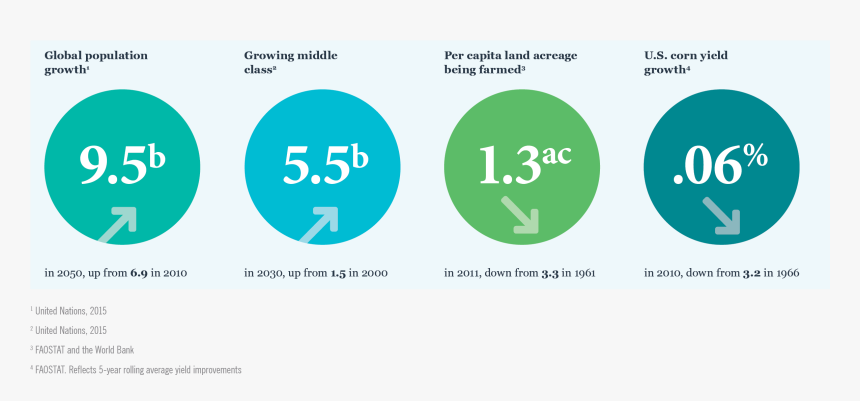 Circle, HD Png Download