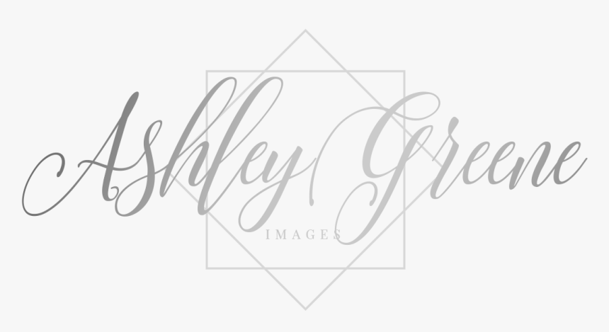 E83b6b - Calligraphy - Calligraphy, HD Png Download