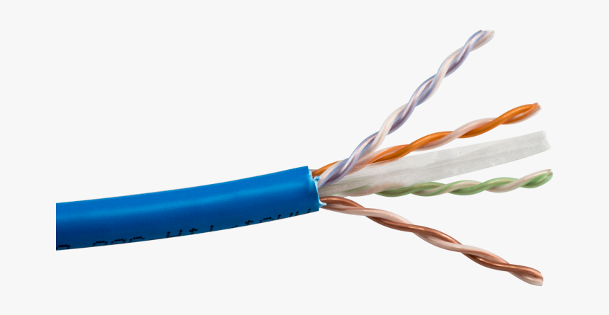 Cable Transparent Cat, HD Png Download