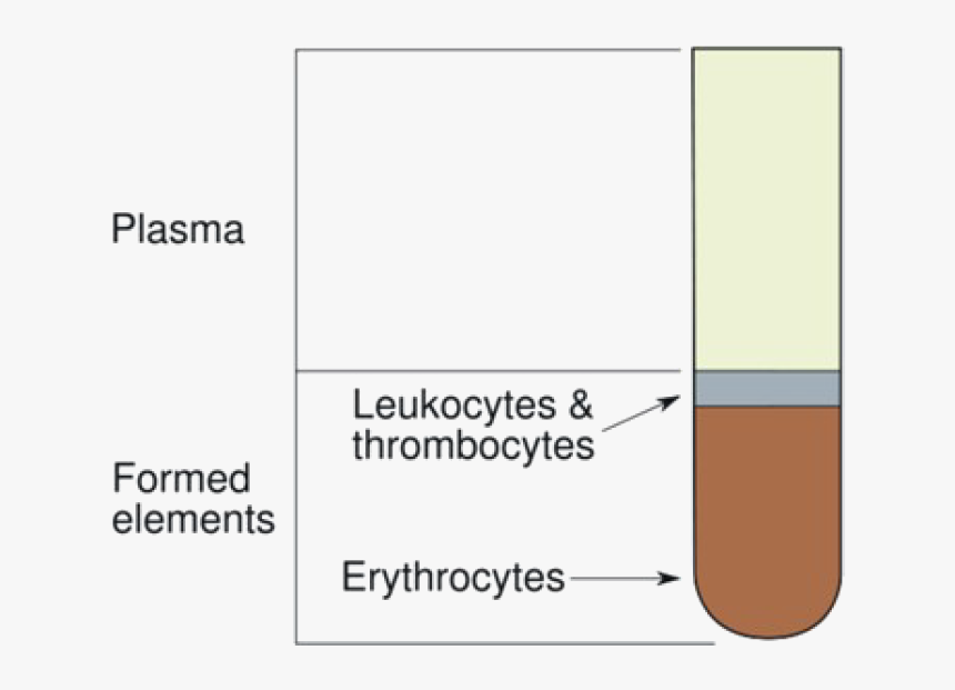 Hematocrit Value, HD Png Download