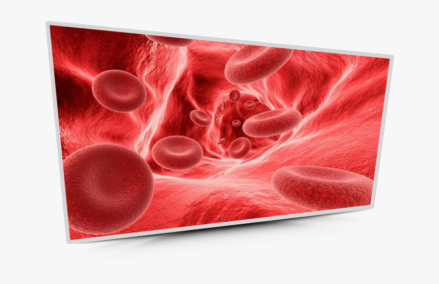 Husband Rh Positive Wife Rh Negative, HD Png Download , Transparent Png