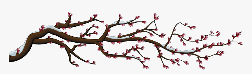 It Blooms In Spring After 810 Years - Cherry Blossom, HD Png Download