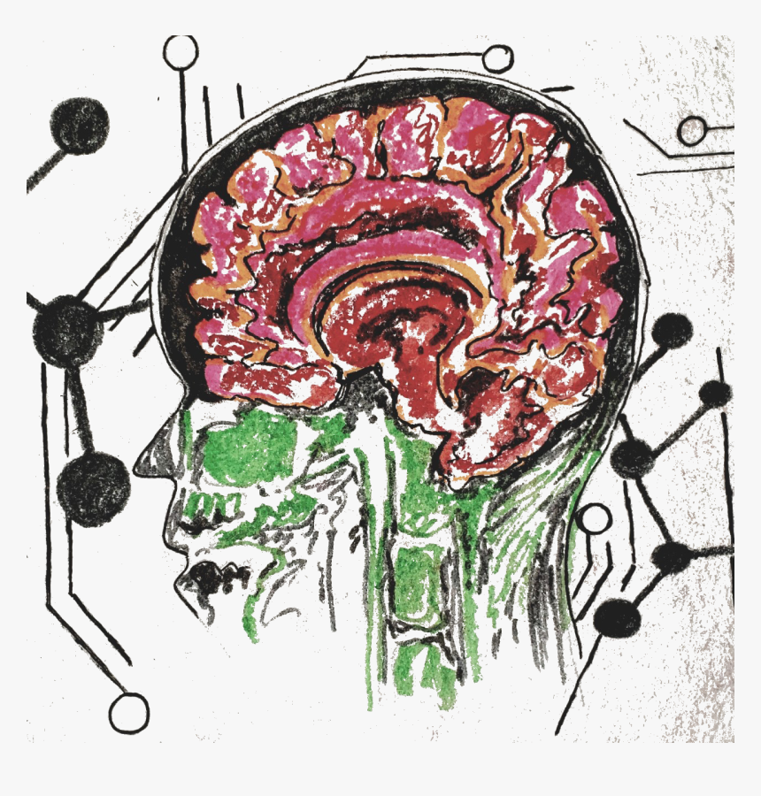 Illustration, HD Png Download