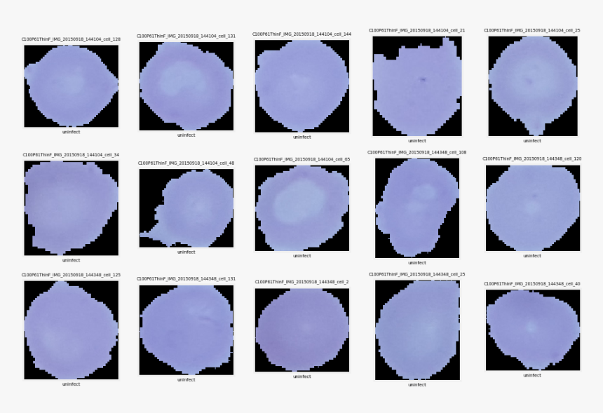 Circle, HD Png Download