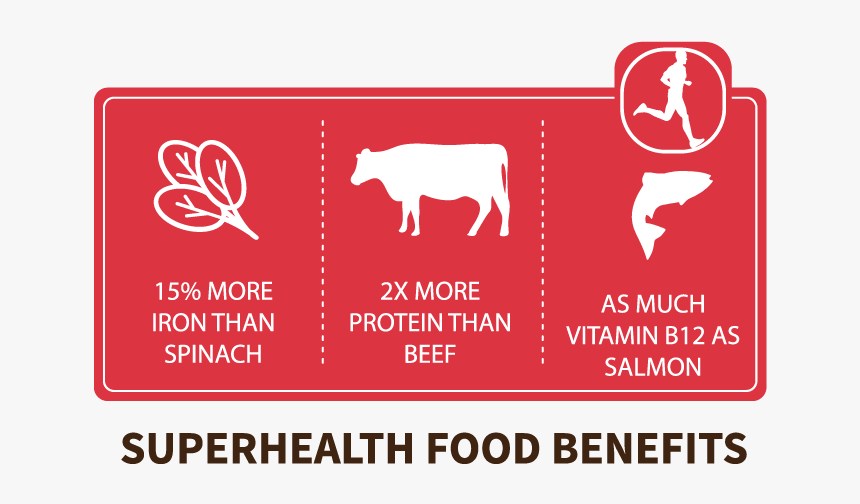 Chapul Why Eat Crickets - Crickets Healthy, HD Png Download