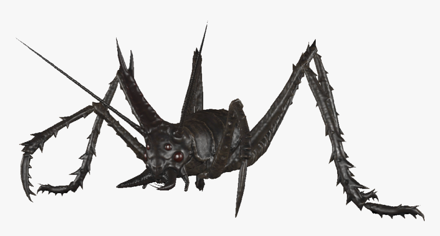 Dlc04 Enccavecricket02 - Fallout Cave Cricket Black, HD Png Download