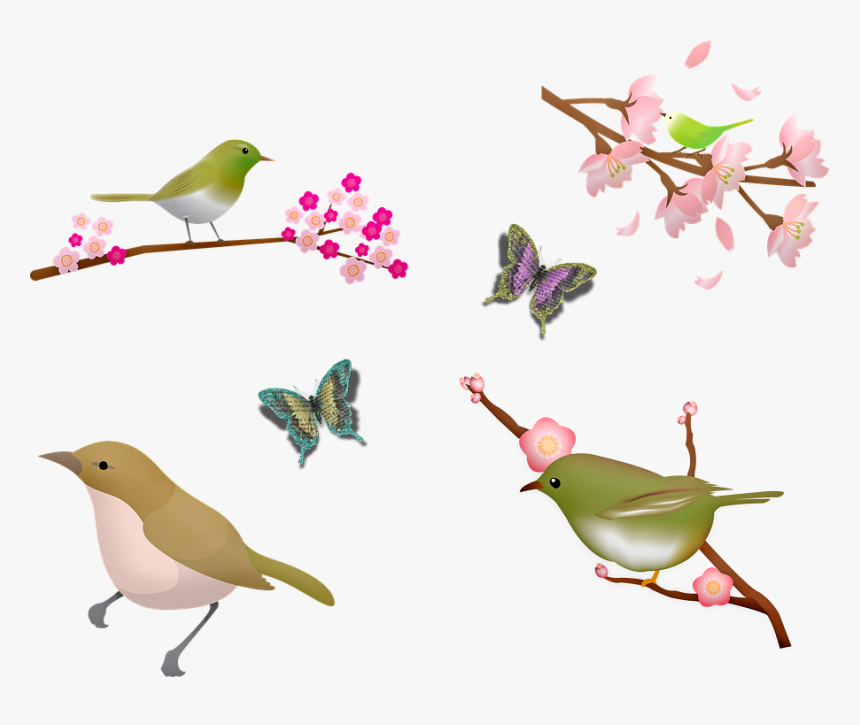 Birds, Sakura Blossom, Cherry Blossom, Butterfly - Sakura Bird, HD Png Download