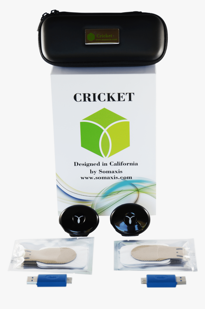 Crickets Png, Transparent Png