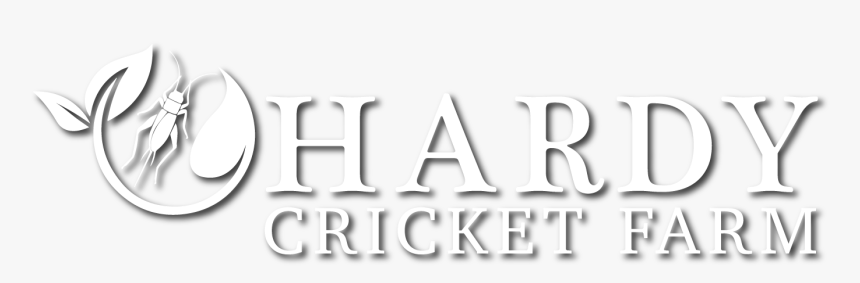 Graphics, HD Png Download