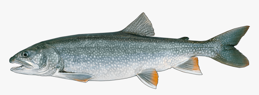 Lunge, HD Png Download